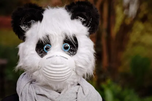 ת'אנדרבולט קזינו תמיכה